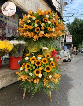 NẮNG VÀNG