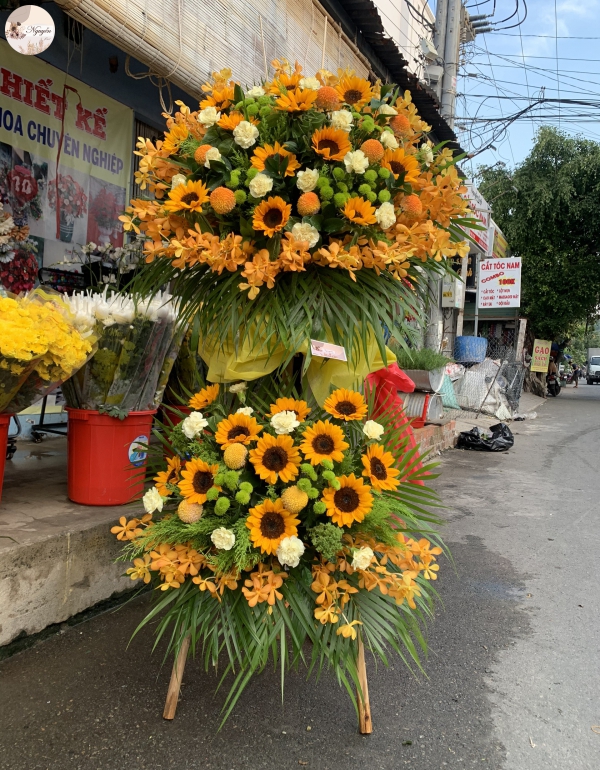 NẮNG VÀNG