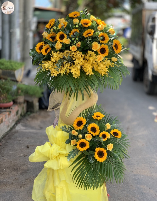 HOA KHAI TRƯƠNG