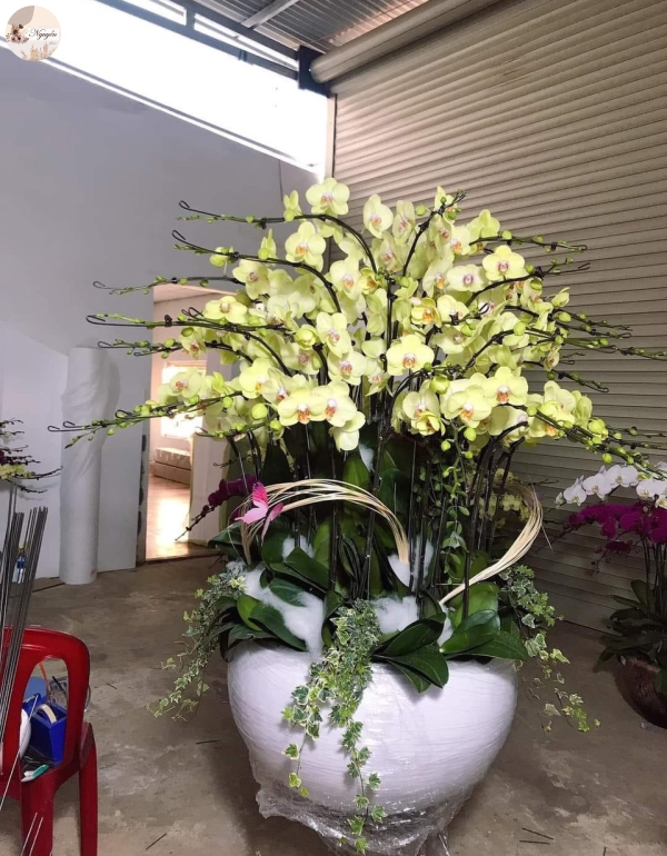 ĐẶT HOA TRƯỚC 3 NGÀY